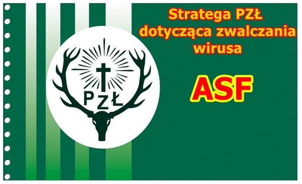 ASF strategia